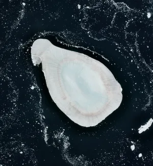 Фреден