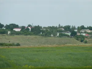 Новосильское городище