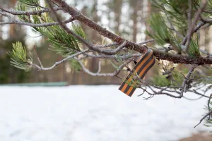 Сад, посаженный в честь воинов 3-й Фрунзенской дивизии Ленинградского народного ополчения, павших в 1941 г. (Сяндеба)