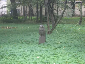 Сад