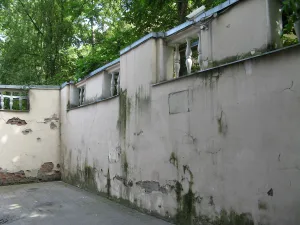 Ограда во дворе