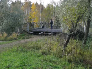 Девять металлических мостов (Разные парковые сооружения) (Гатчина)