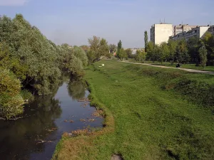Стерля