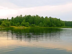 Ракитинское