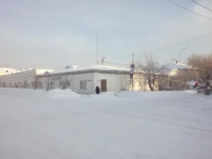 Магазины фирмы «Зингер» (Шадринск)
