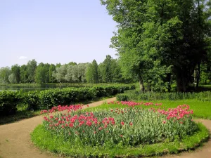 Сад (Гатчина)