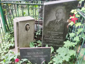 Могила, в которой похоронен Шолохов Дмитрий Дмитриевич (1920-1983), Герой Советского Союза (Ярославский)