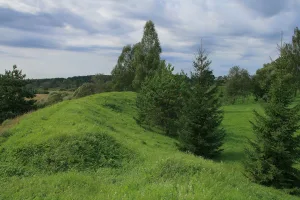 Микулинский кремль