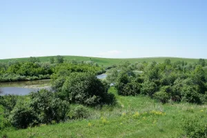 Песчаная река