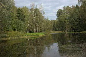 Верхний Круглозальный пруд (Павловск)