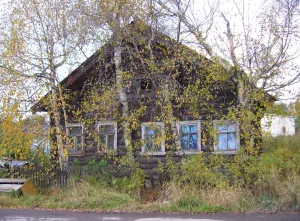 дом Лузгина (Петрозаводск)