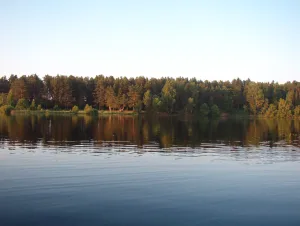 Улейма