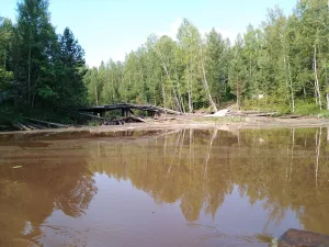Куржина