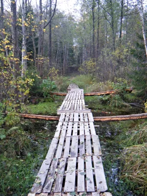 Дрезна