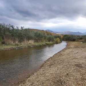 Шураозень