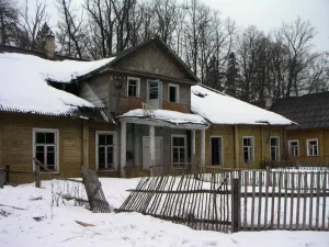 Главный дом (Дружноселье)