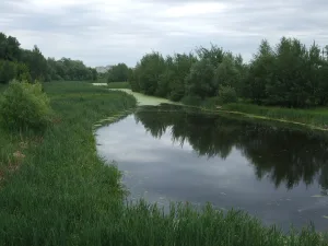 Быковка
