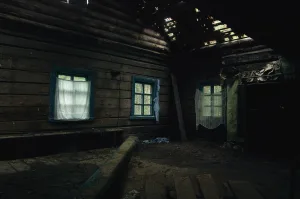 Дом жилой крестьянский (Костомукшский ГО)