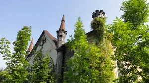 Усадьба А.Н. Хвостова (Чернышевка (Шаталовка))