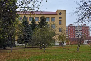 Школа № 1 (Шатура)