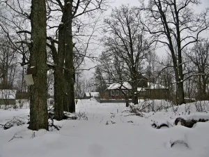 Парк (Кемполово)