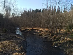 Ниванйоки