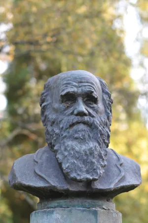 Бюст великого английского ученого Ч. Дарвина (Павлово)