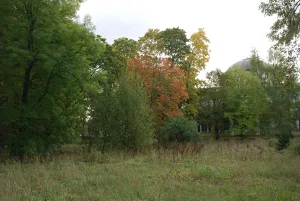 Сад