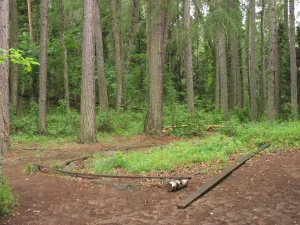 Келейные корпуса (руины) (Сортавальское г.п.)