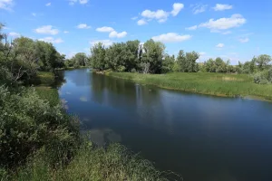 Каргалка