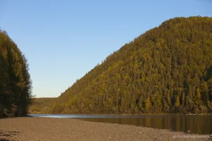 Семертак