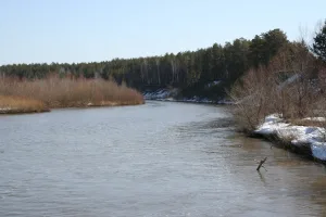 Чемровка