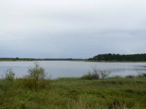 Волго