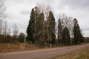 Культовая роща (Новинка)