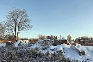 Конюшня и сарай каретный усадьбы Рогозиных (Черниж)