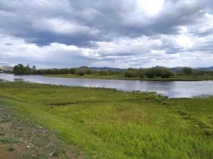 Оронгой