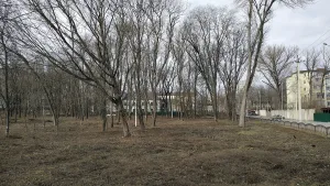 загородный усадебный комплекс с парком, фонтаном и купеческими домами: Кошкиных, Панченко, Асмоловых