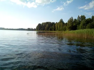 Городенское