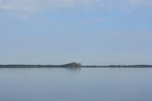 Питель