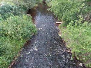 Хоринка