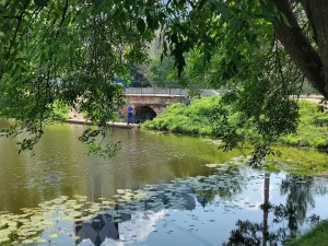 Никитинский мост