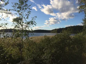 Поляково (озеро)