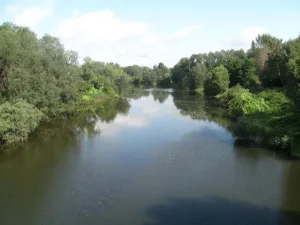 Ярань