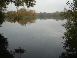 Охтинское водохранилище