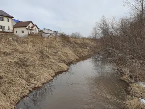 Рыбка