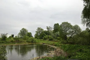 Парк с прудами (Варварино)