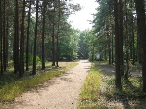 Парк «Марьина гора» (Усадьба «Мариоки») (Молодёжное)
