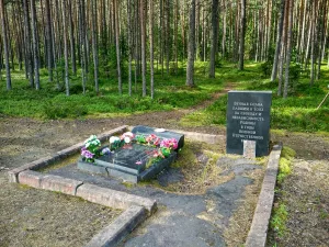 Братская могила советских воинов, погибших в годы Великой Отечественной войны (Деревянное)