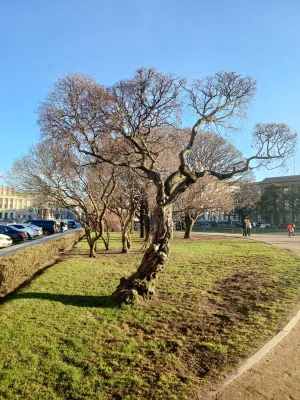 St Isaac's Square Garden