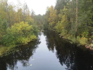 Уомасоя